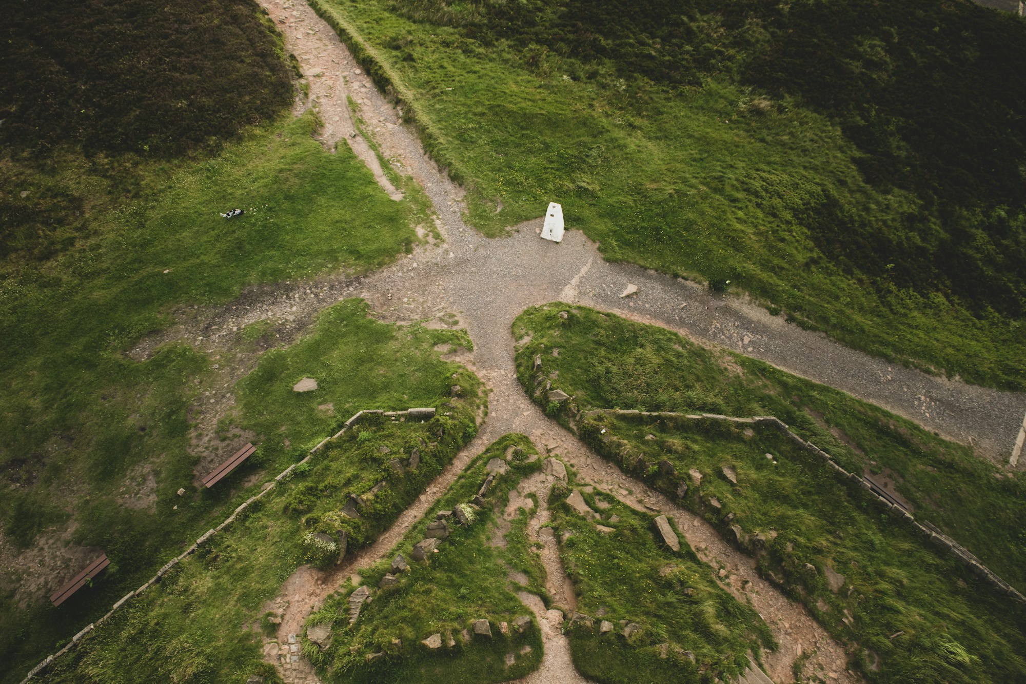 Two gravel paths diverging, seen from above