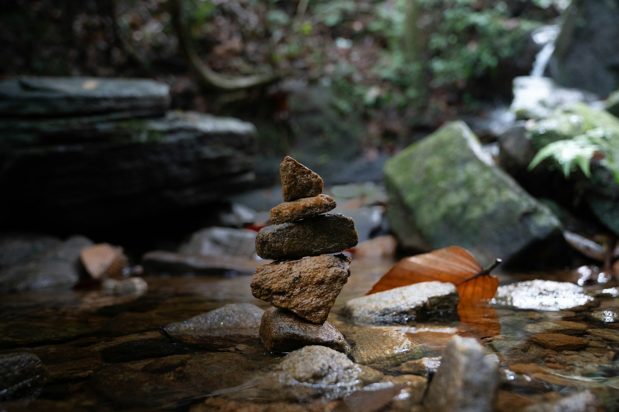 Cairn de cinq pierres brunes empilées dans un ruisseau forestier, feuille morte orangée au premier plan