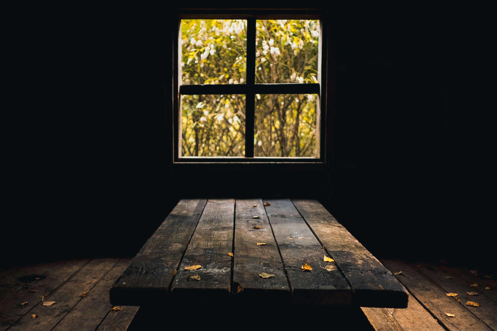 Vieille table en planches de bois dans une pièce sombre, quelques feuilles d'automne posées dessus, une fenêtre à croisillons ouverte sur un feuillage jaune