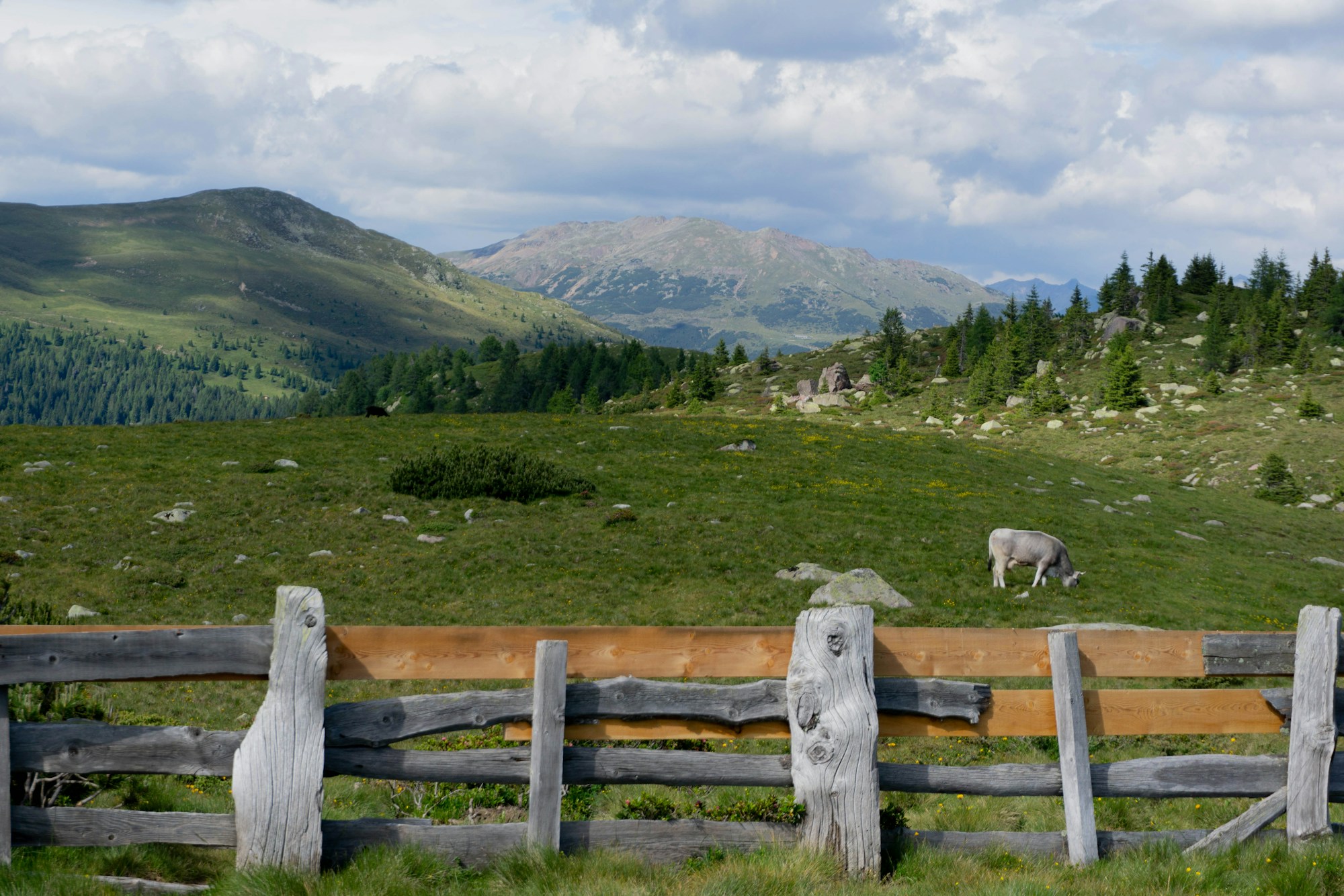 Weathered wooden fence in front of an alpine pasture where a cow grazes, with mountain ridges under a cloudy sky behind