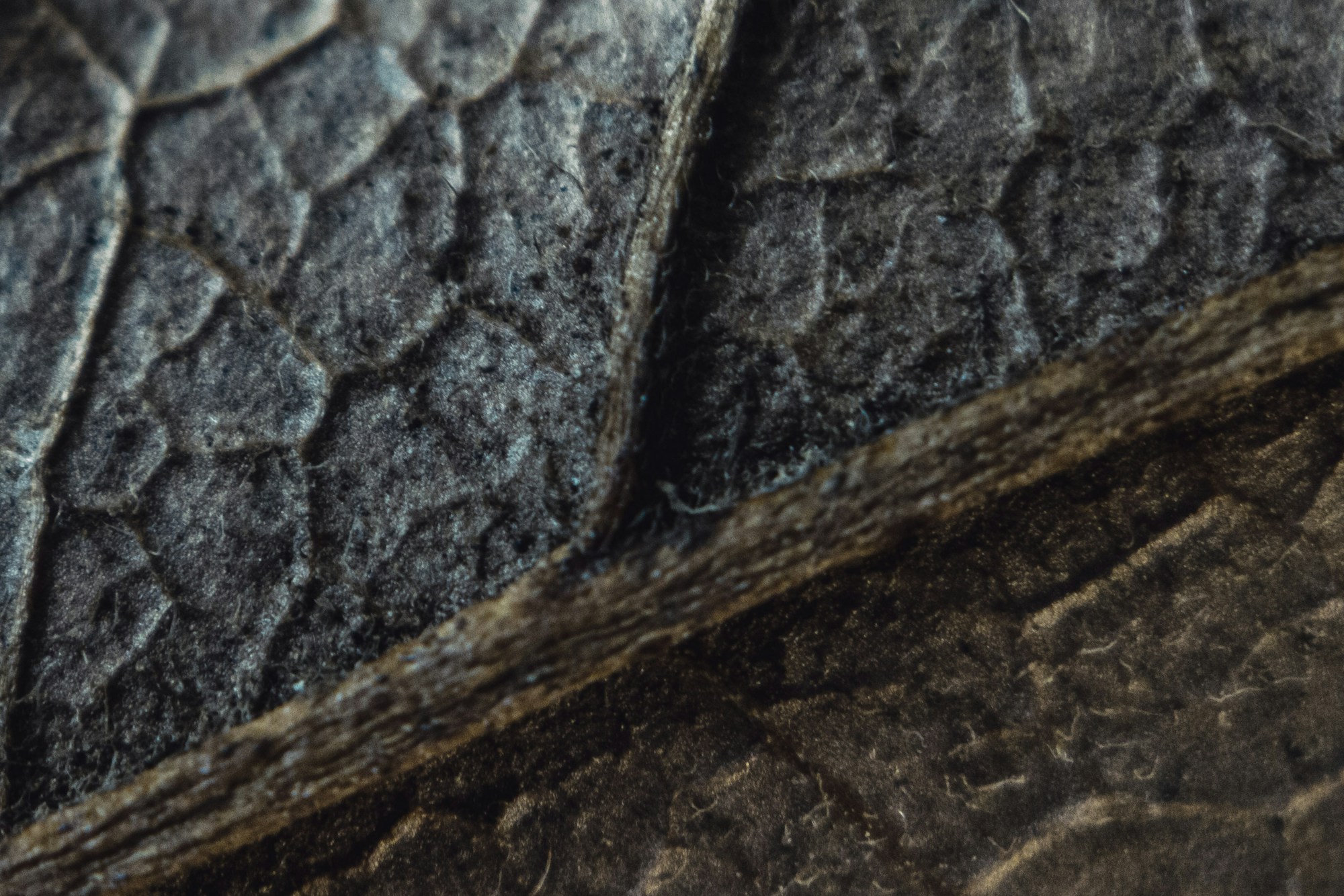 A worn leather wallet on a dark surface, close-up on the grain of the leather