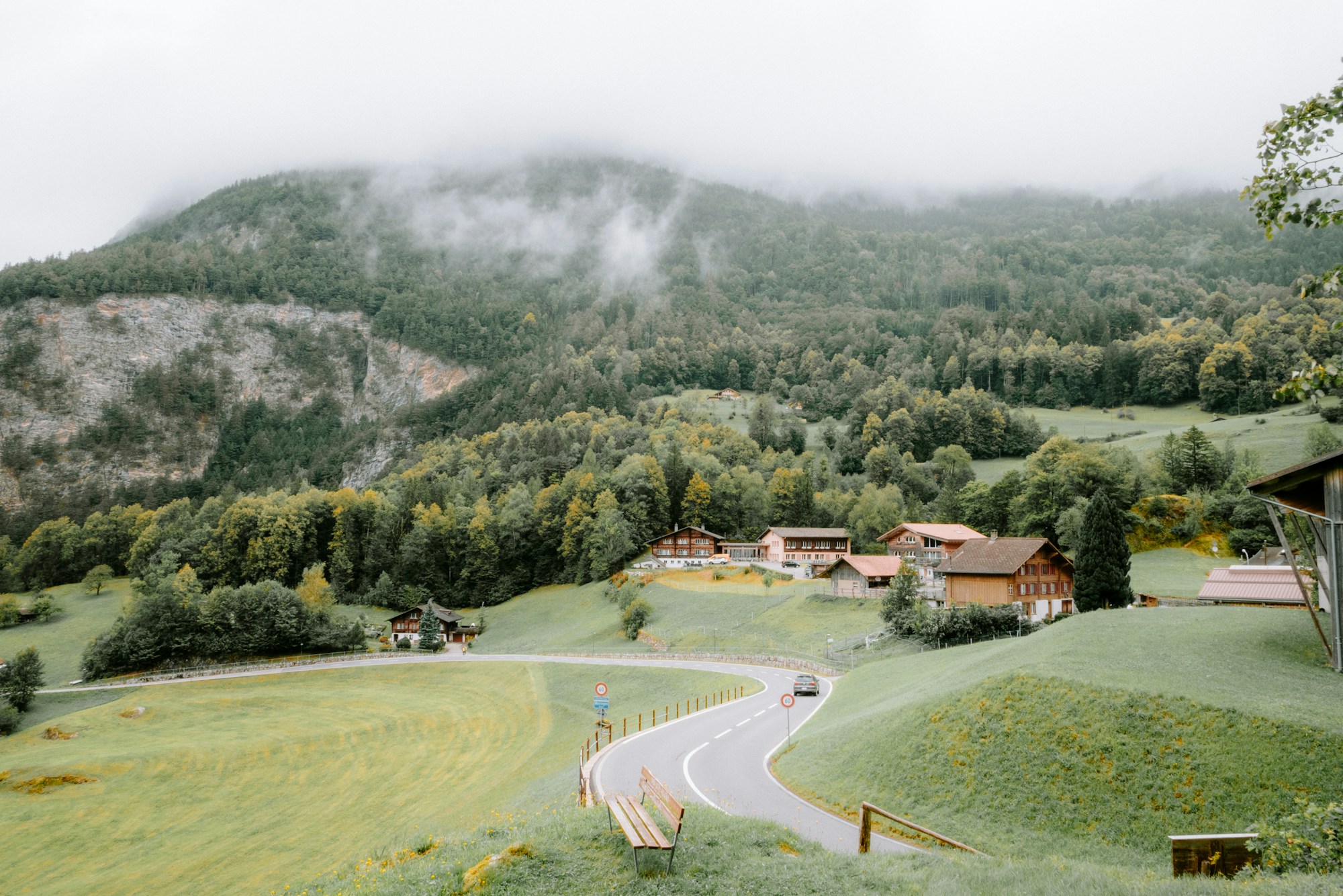 Route de campagne suisse serpentant dans une vallée boisée sous la brume