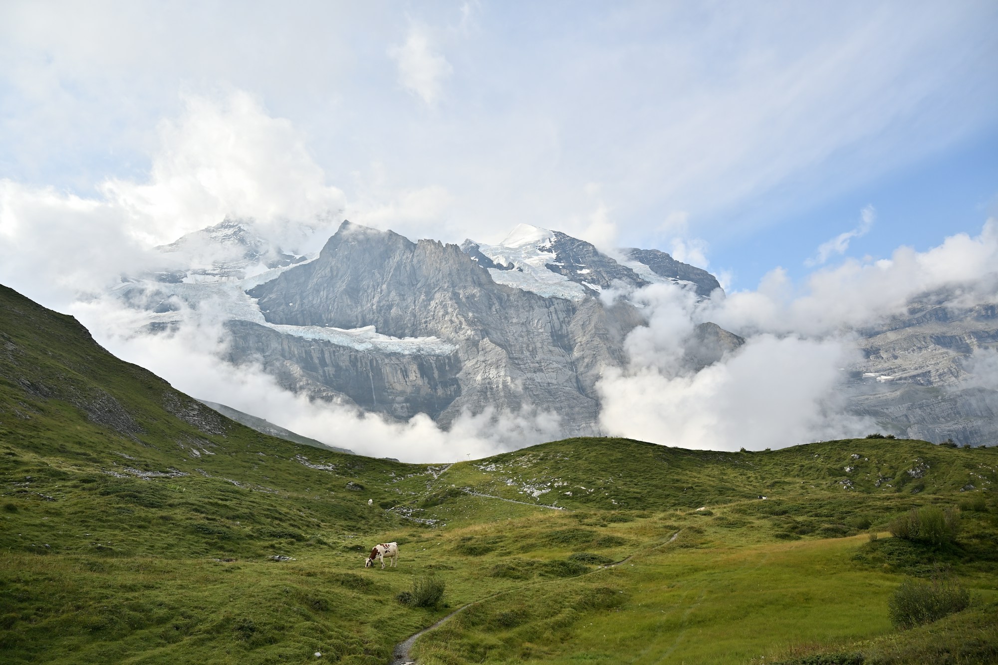 Sentier de montagne suisse au petit matin, sommets glaciaires dans la brume
