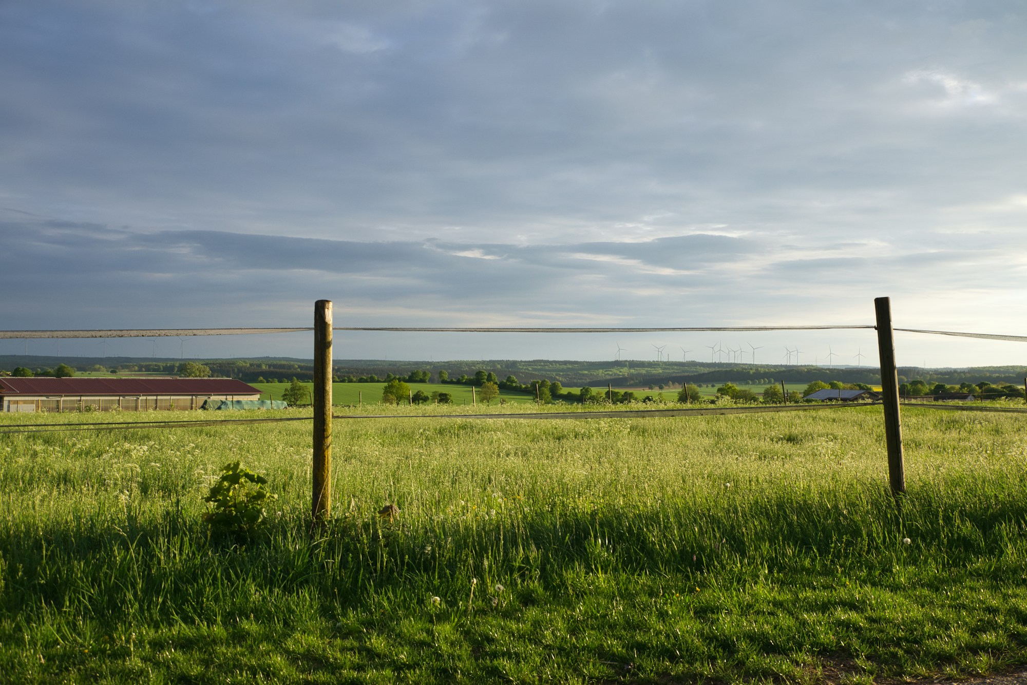 Zaun mit zwei Drähten zwischen Holzpfosten vor einer hohen Wiese, links landwirtschaftliche Gebäude und am Horizont Windräder unter einem bewölkten Abendhimmel