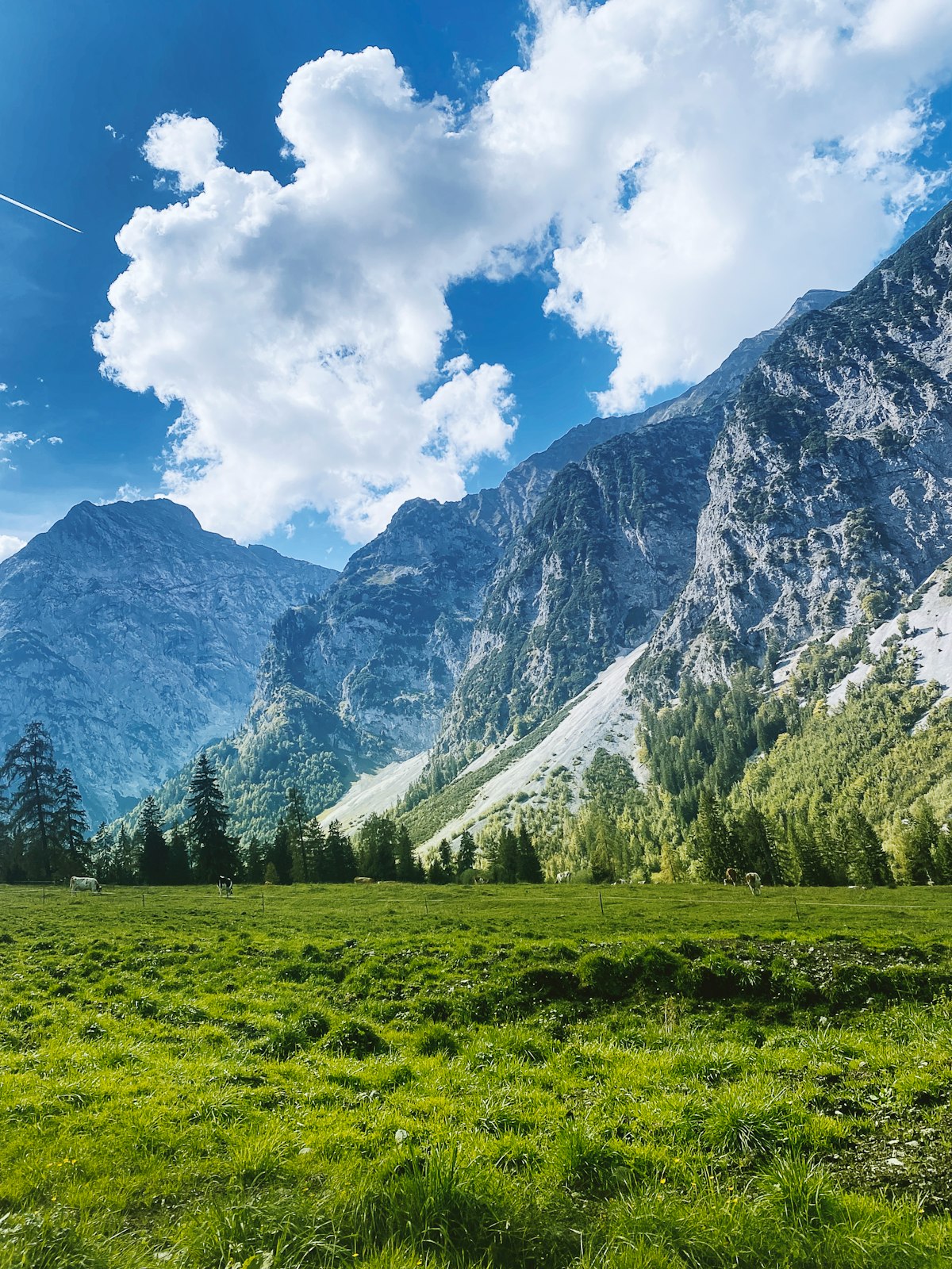 Prairie alpine verte bordée de conifères au pied de montagnes escarpées sous un ciel bleu nuageux