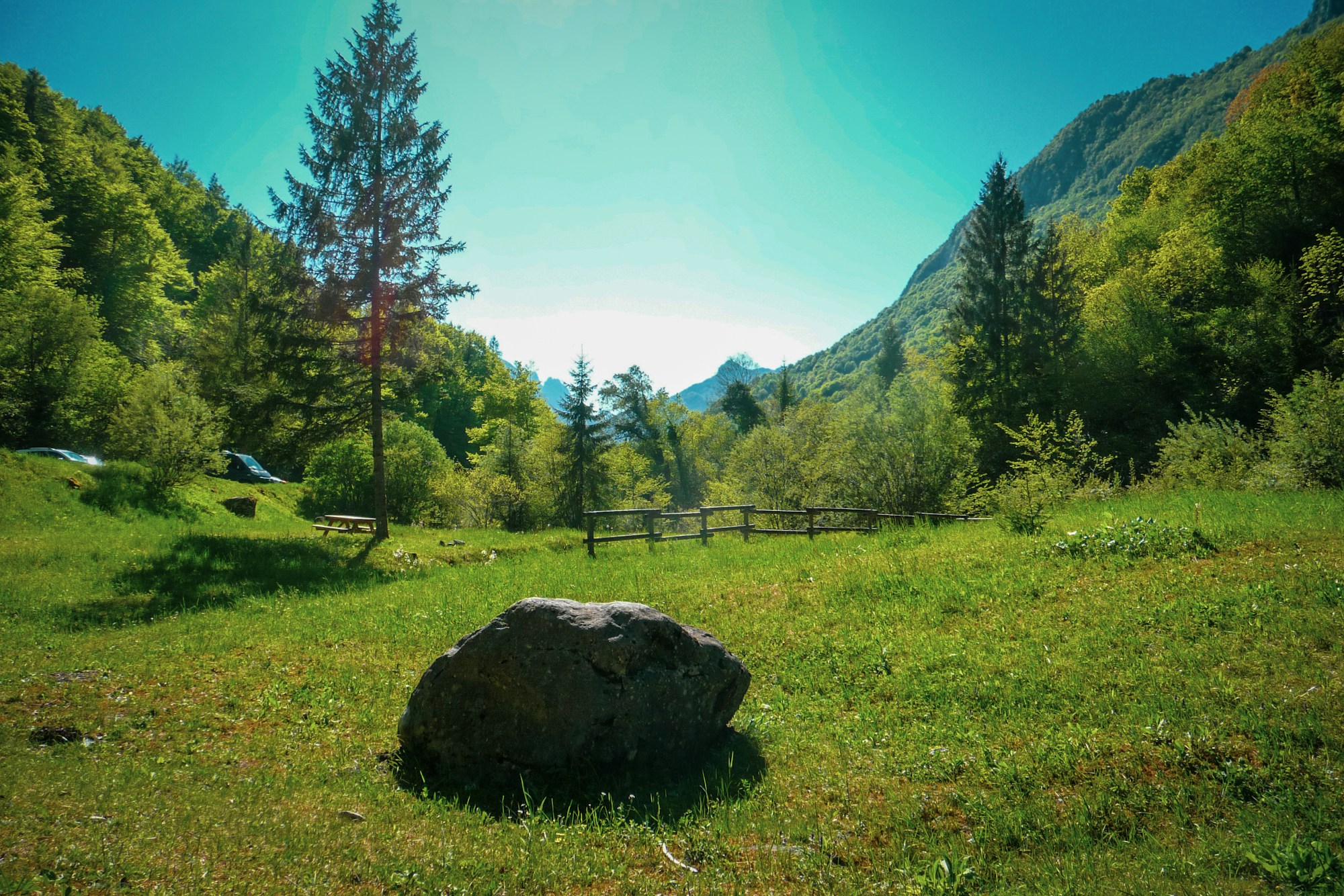 A large boulder standing alone in a green alpine meadow, ringed by forest